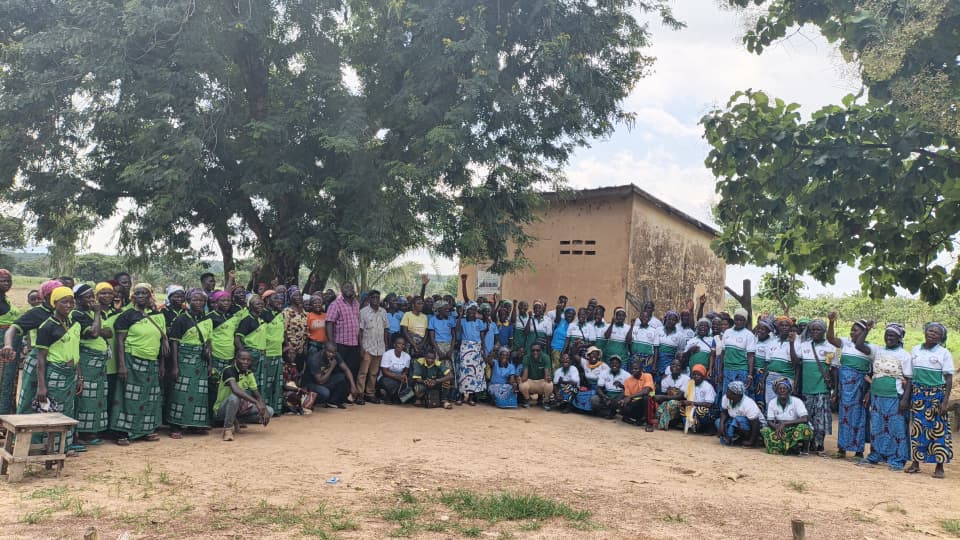 Femmes participant à une formation pratique sur le karité